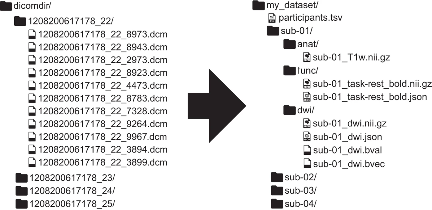 A flat DICOM directory of opaque .dcm filenames on the left, reorganized on the right into a BIDS dataset: my_dataset/ holding participants.tsv and one sub-<label>/ directory per participant, each split into anat/, func/ and dwi/ with descriptive names such as sub-01_task-rest_bold.nii.gz.