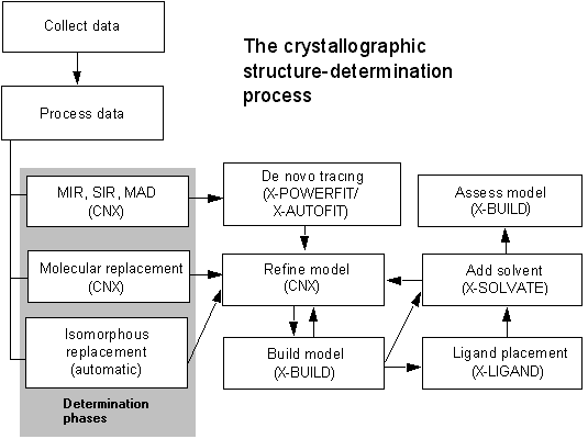 macromolecules flowchart